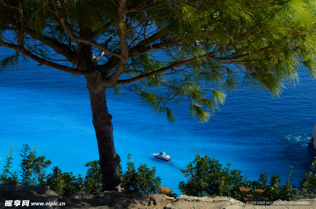 一棵树唯美意境图片