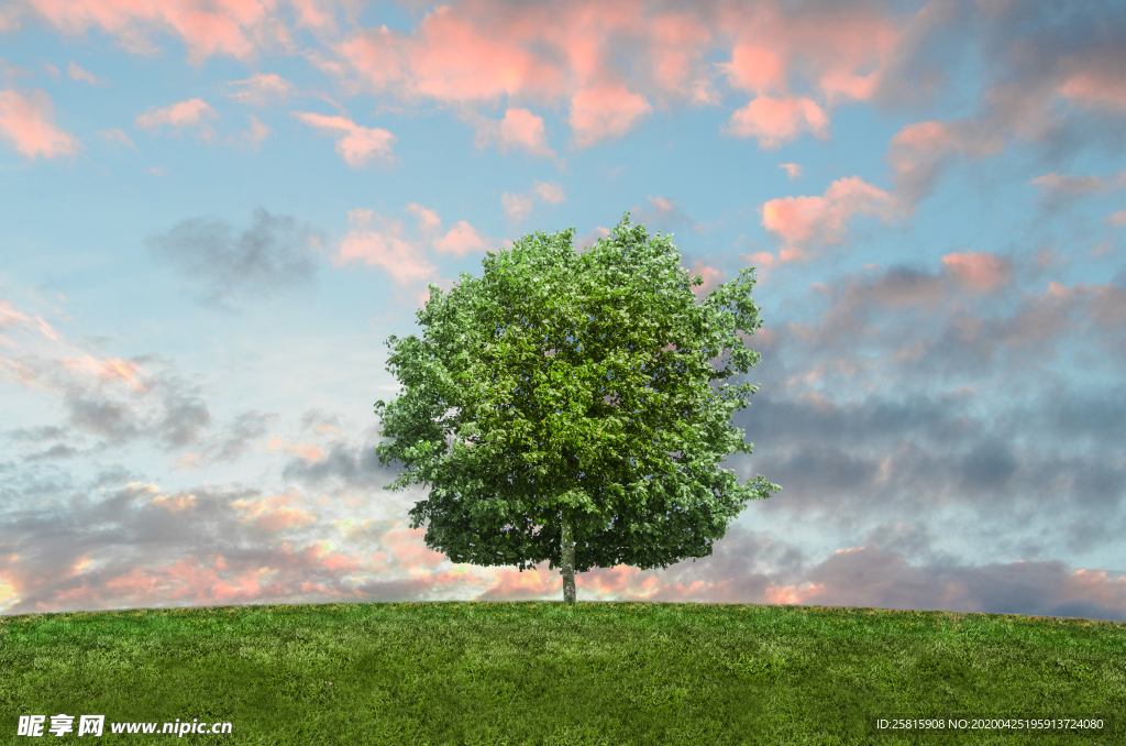 一棵树唯美意境图片