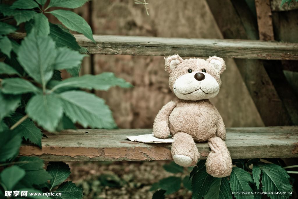 玩具熊毛绒玩具图片