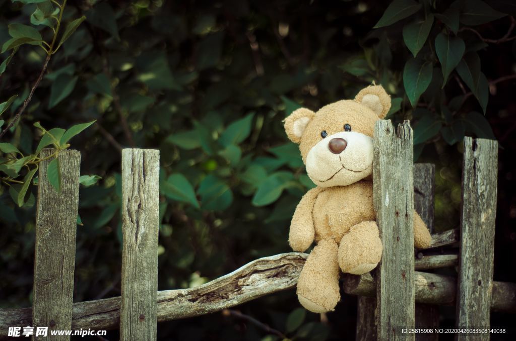 玩具熊毛绒玩具图片