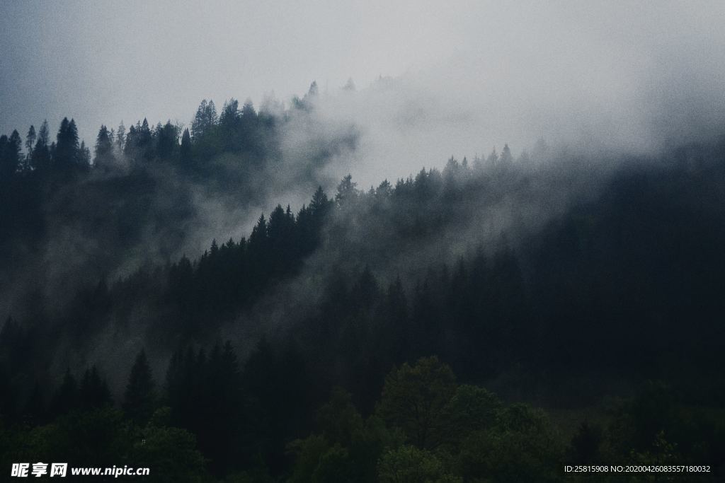 雾气弥漫的山林图片
