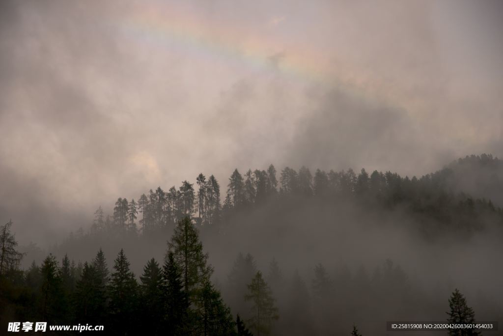 雾气弥漫的山林图片