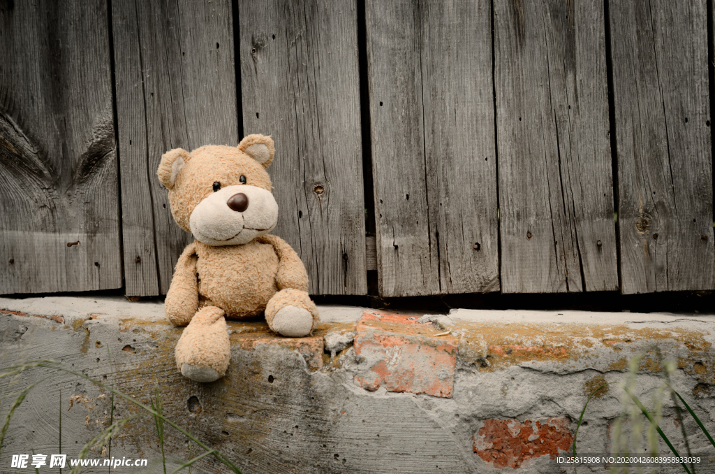 玩具熊毛绒玩具图片