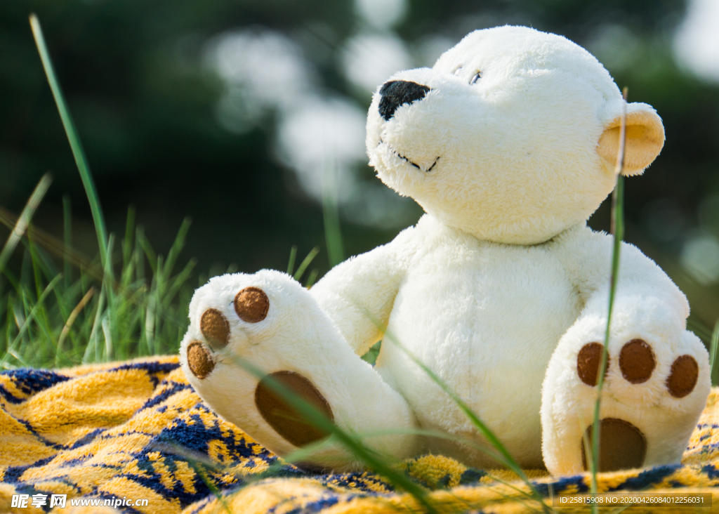 玩具熊毛绒玩具图片