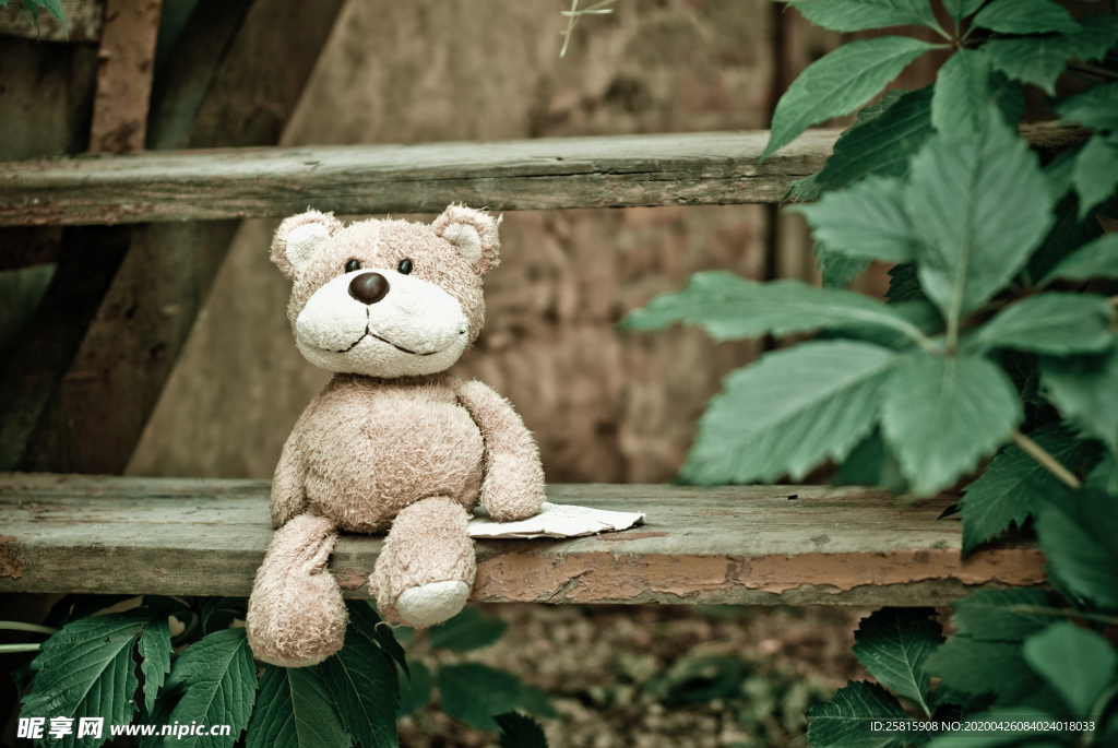 玩具熊毛绒玩具图片