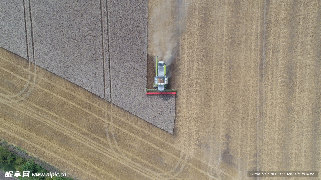 收割机丰收图片