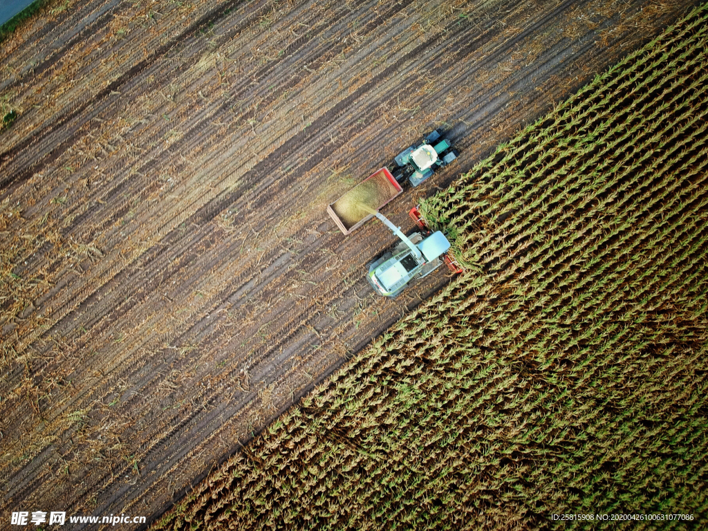 收割机丰收图片