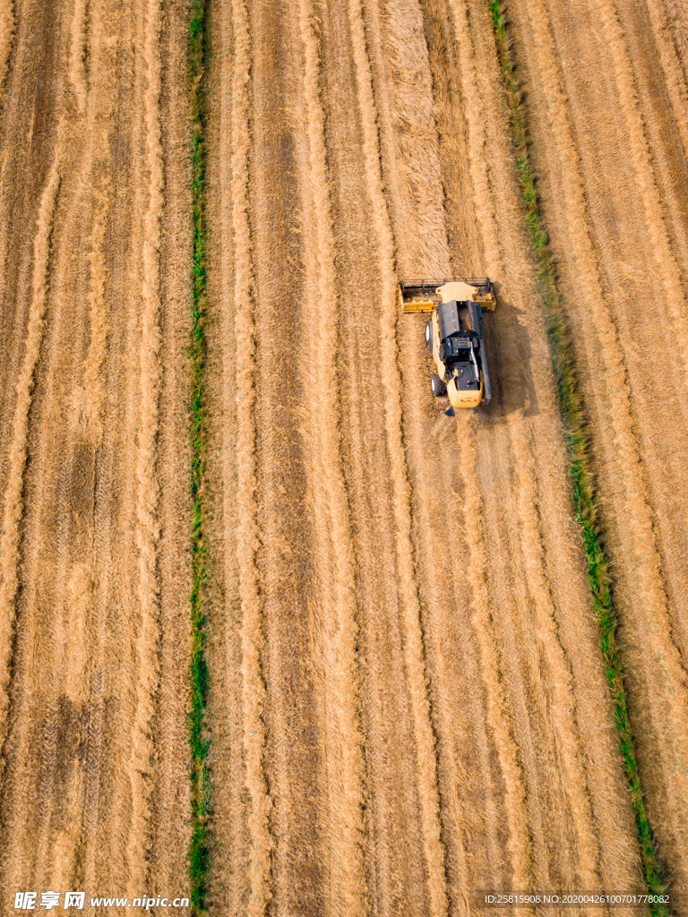 收割机丰收图片