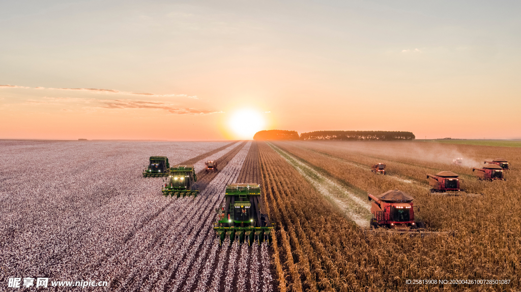 收割机丰收图片