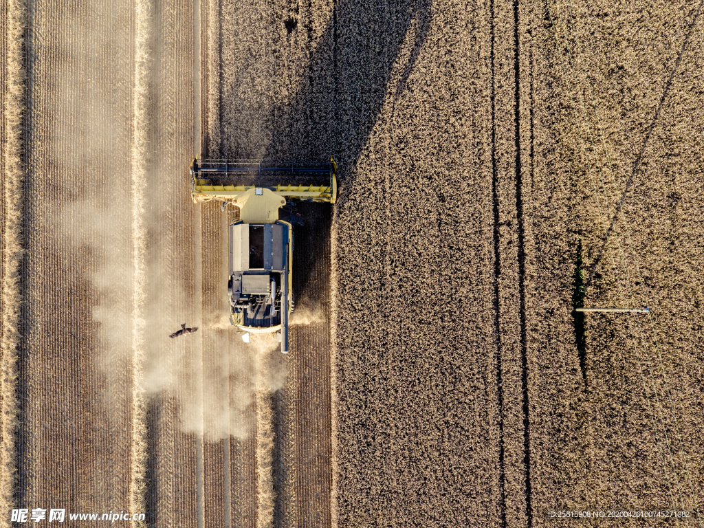 收割机丰收图片