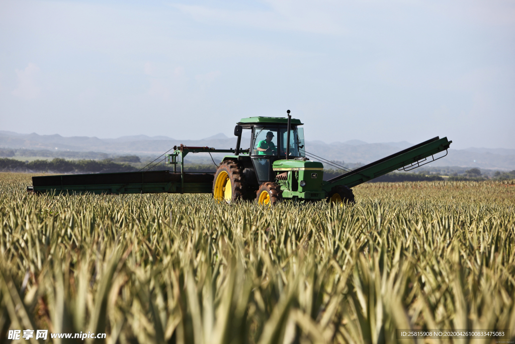 收割机丰收图片