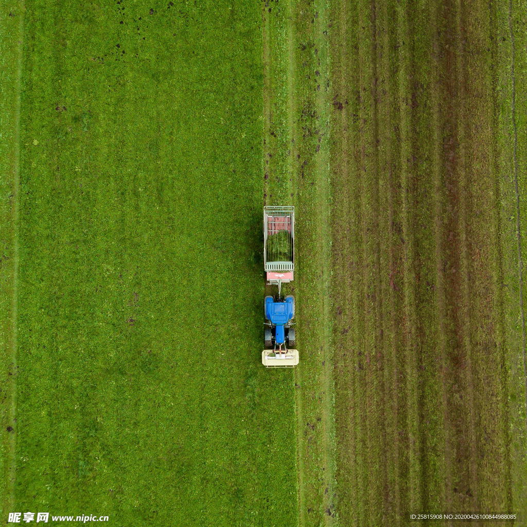 收割机丰收图片