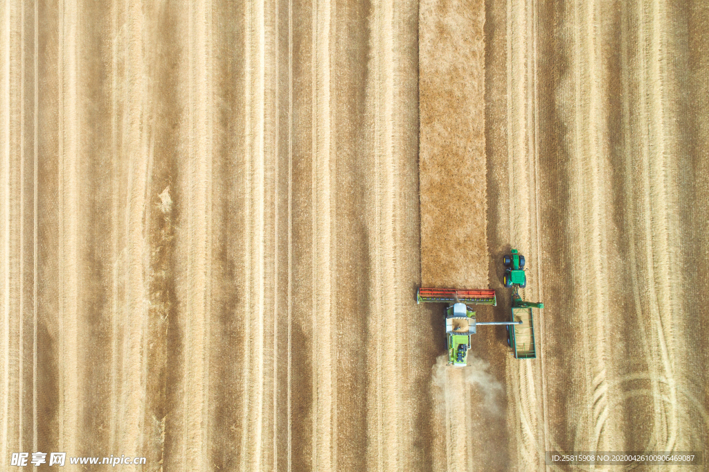 收割机丰收图片