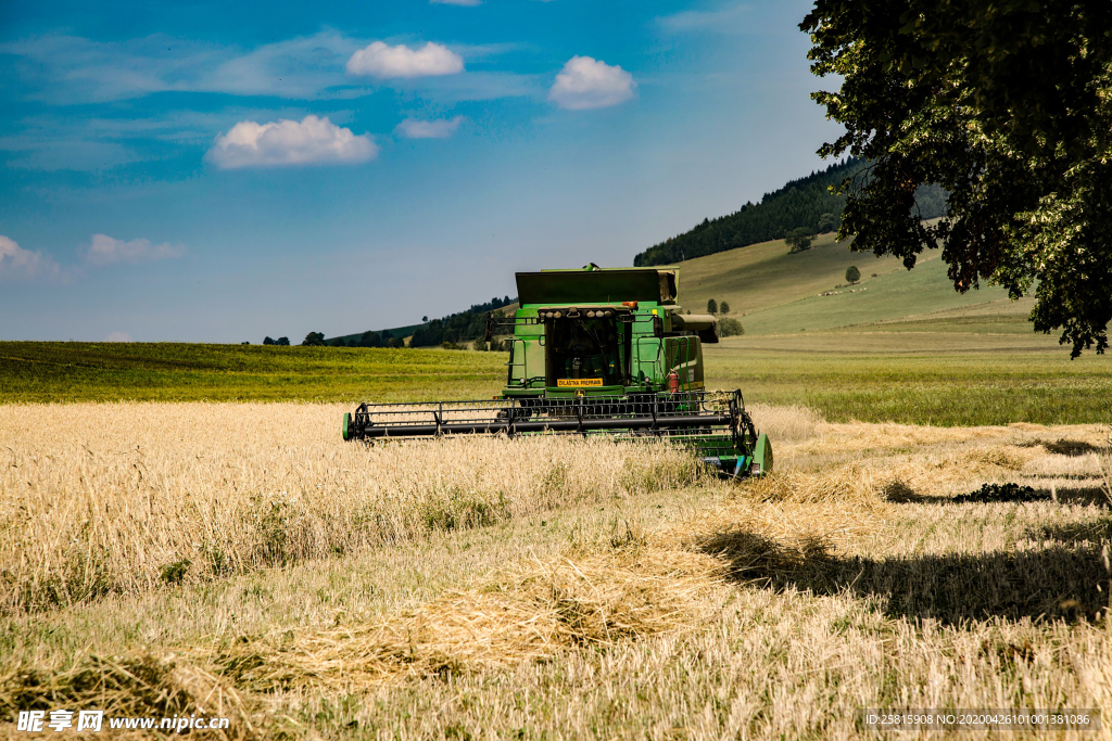 收割机丰收图片