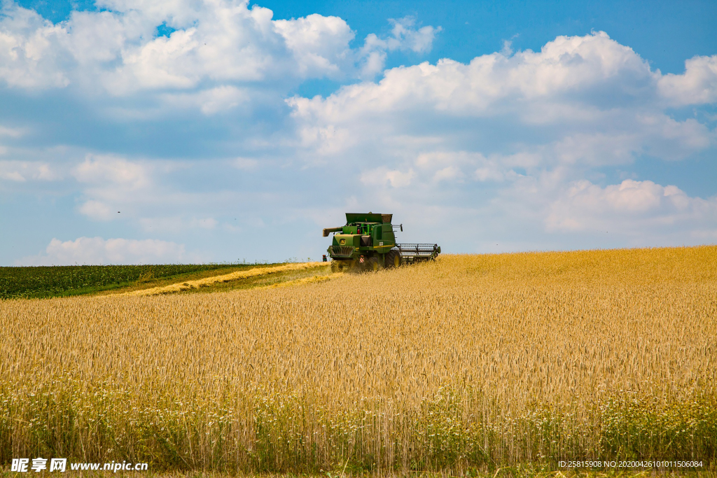 收割机丰收图片