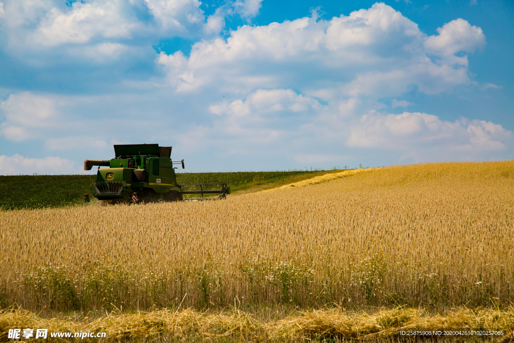 收割机丰收图片