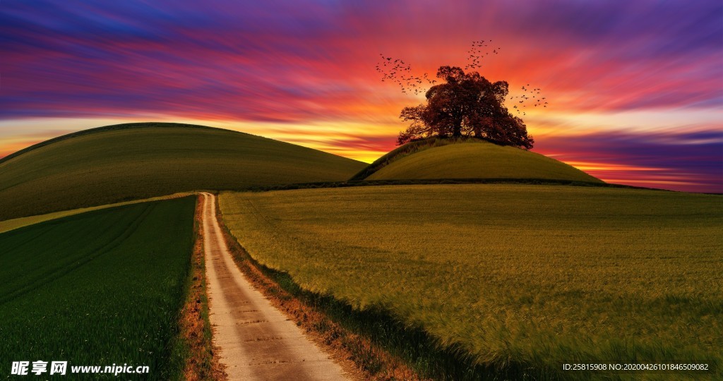 林间小路丛林小道图片