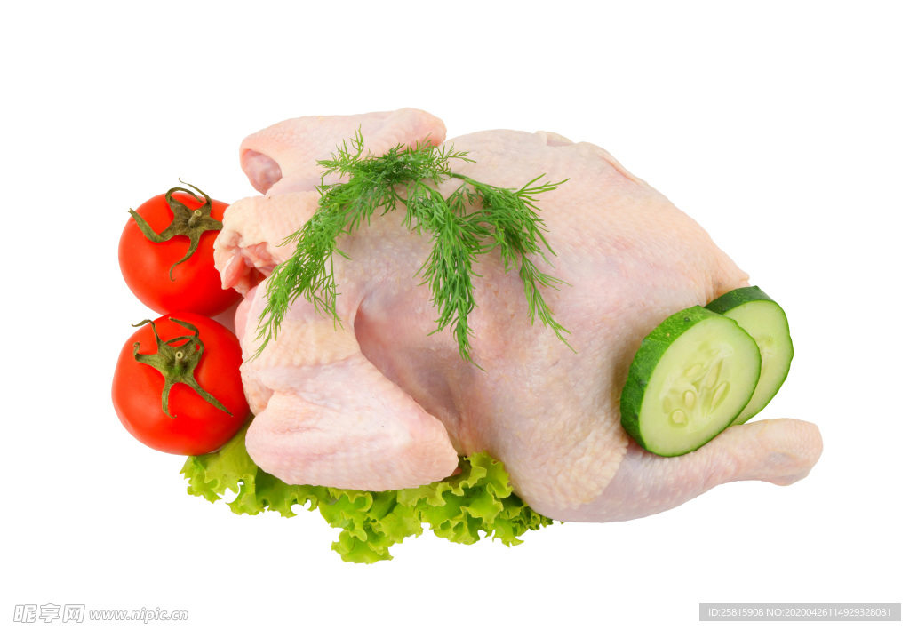 鸡腿生鸡腿图片