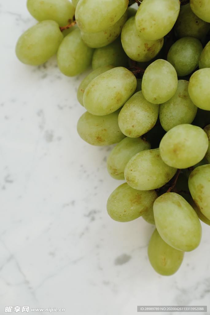 白葡萄