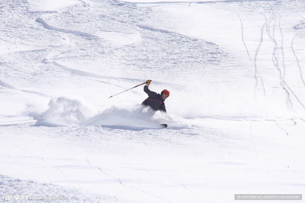 滑雪运动滑雪板图片