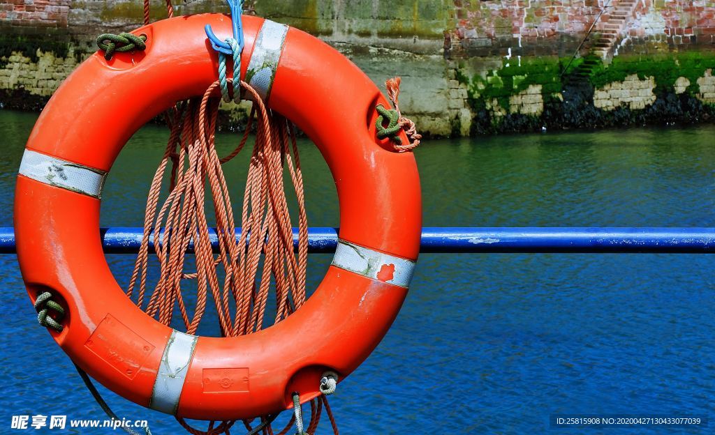 救生圈游泳圈图片