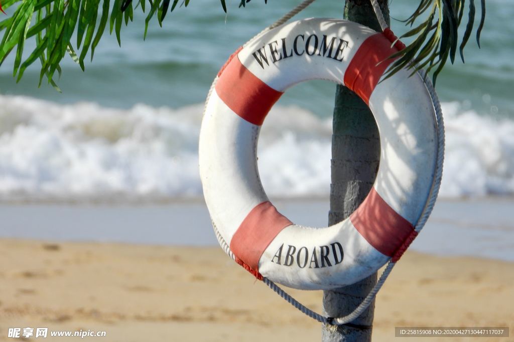 救生圈游泳圈图片