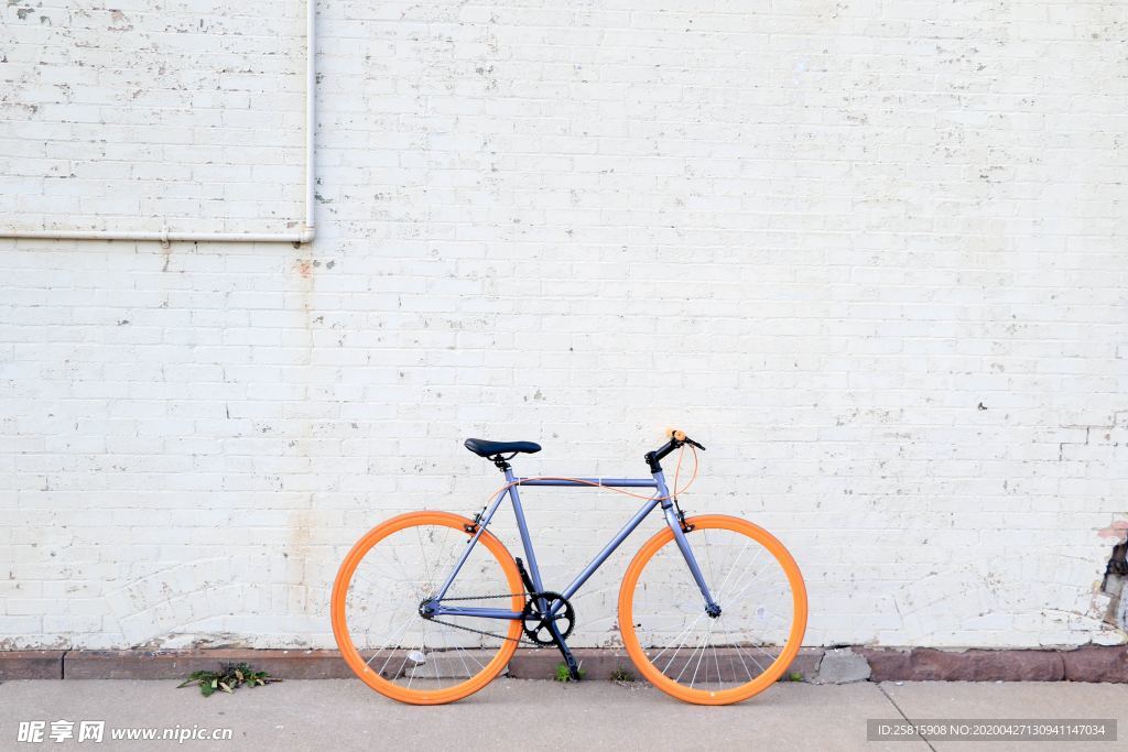 自行车共享单车车技图片