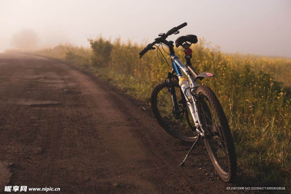 自行车共享单车车技图片