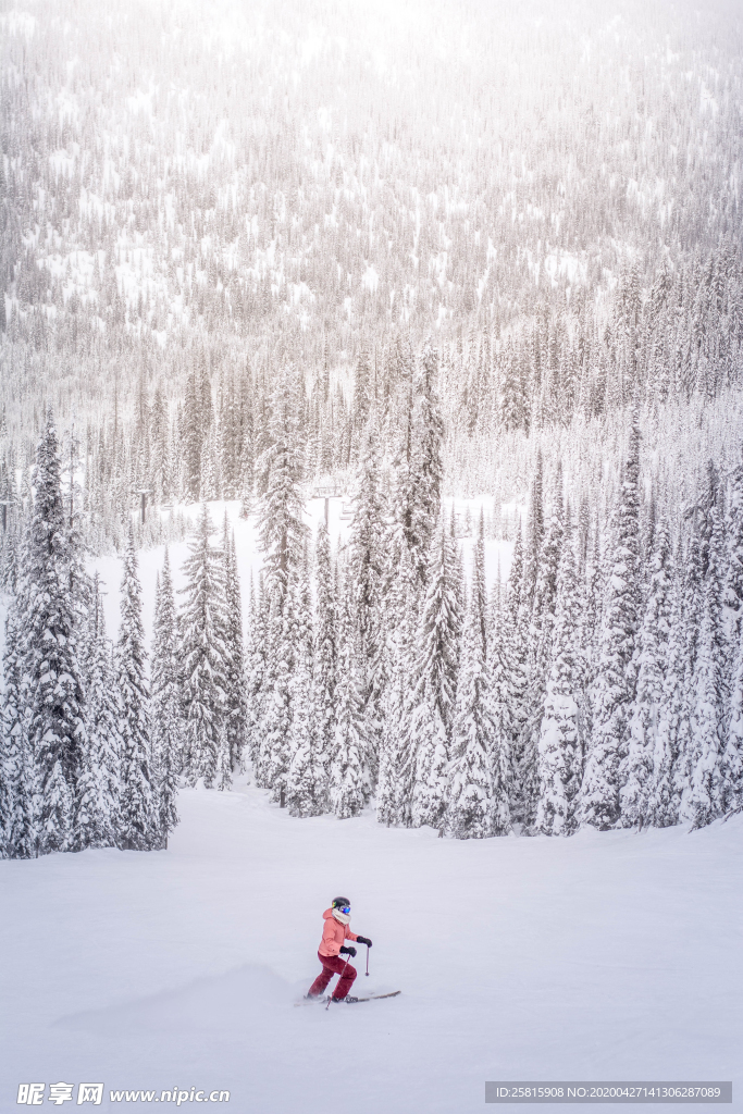 滑雪运动滑雪板图片