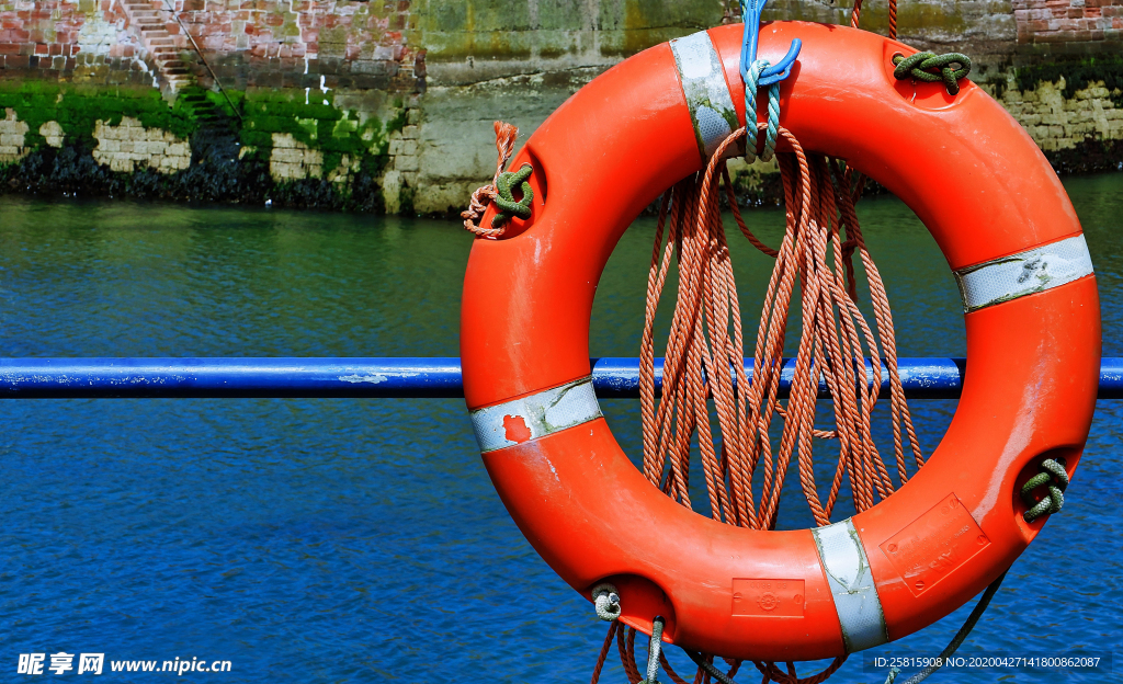 救生圈游泳圈图片