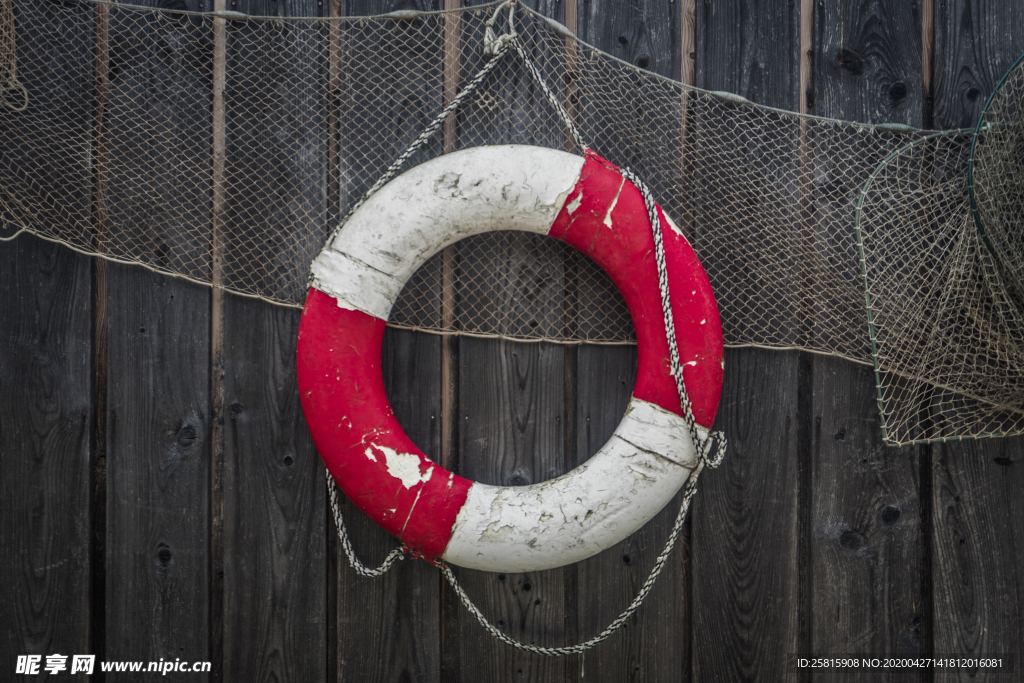 救生圈游泳圈图片