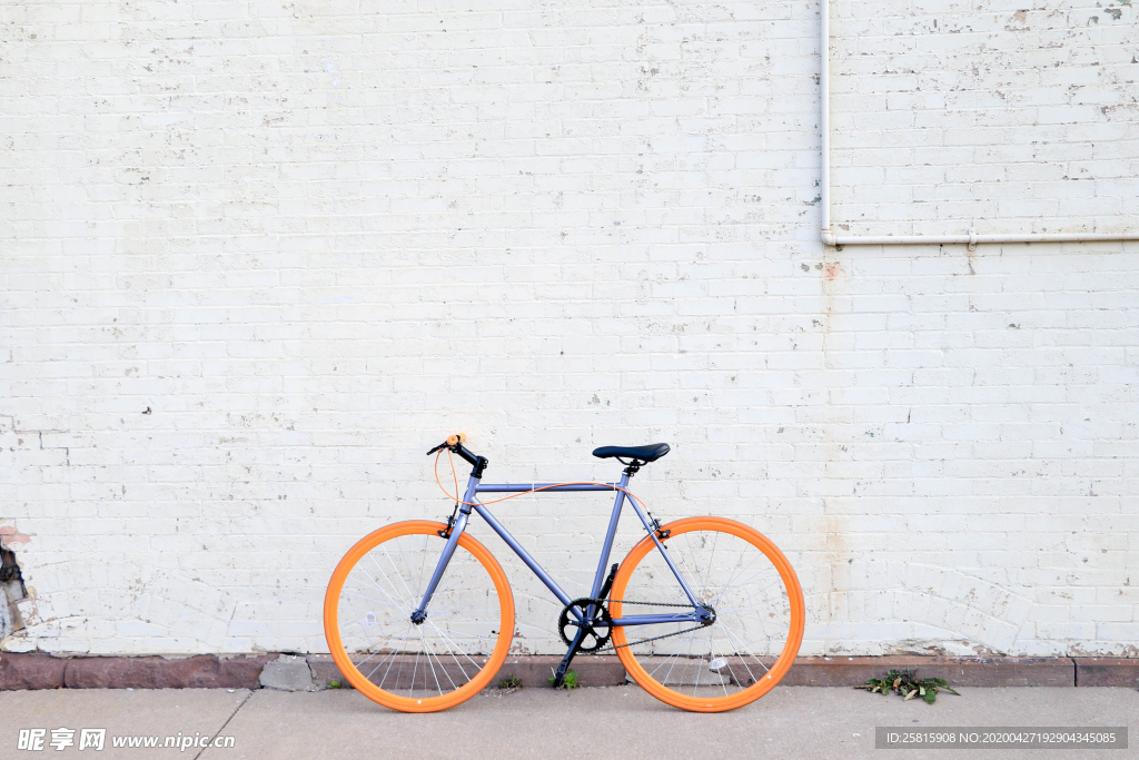 自行车共享单车车技图片