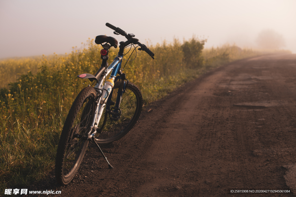 自行车共享单车车技图片