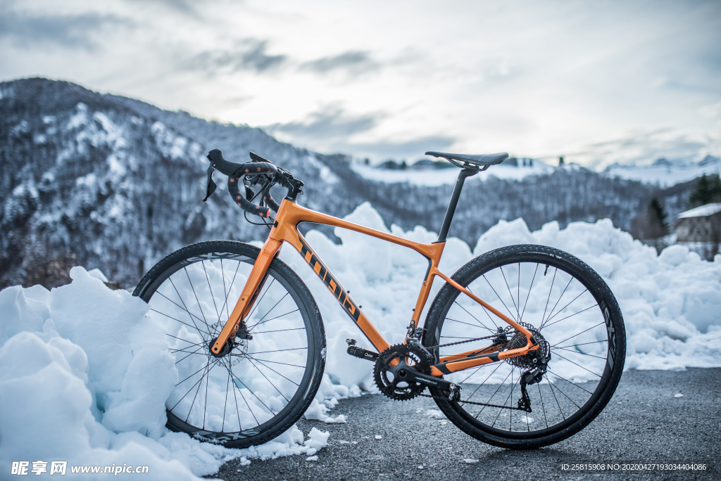 自行车共享单车车技图片