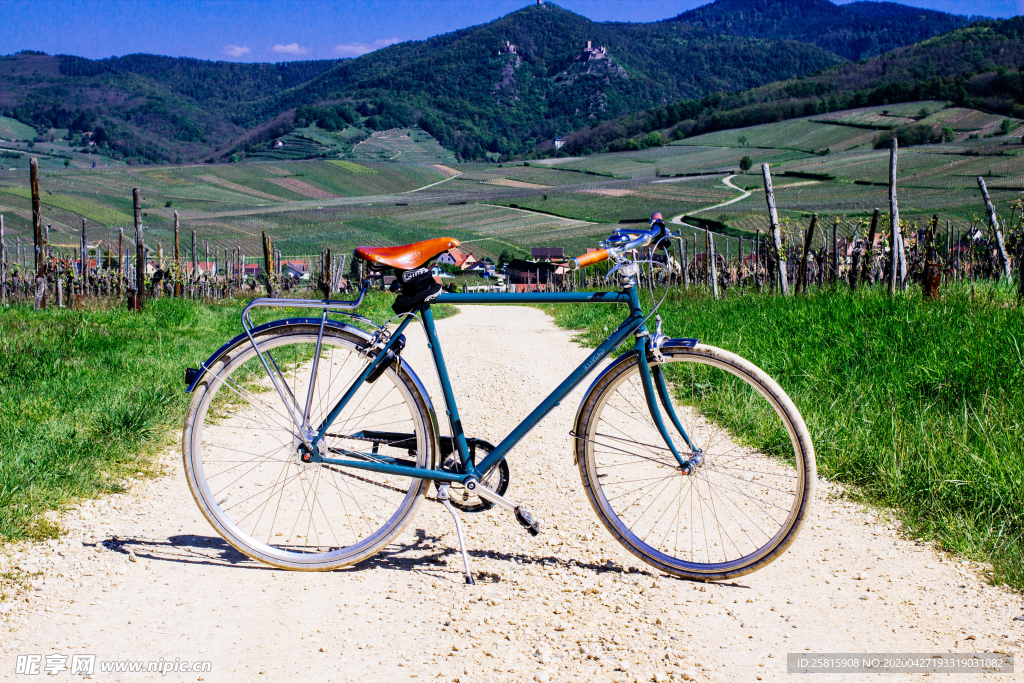 自行车共享单车车技图片