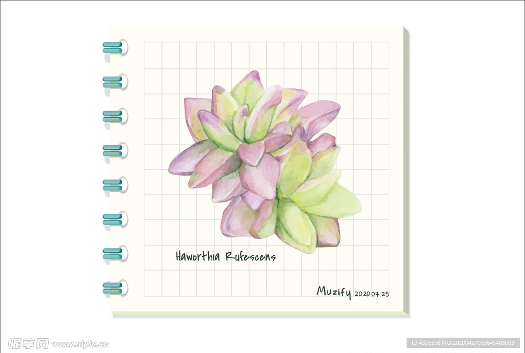 奥普琳娜 多肉植物图鉴