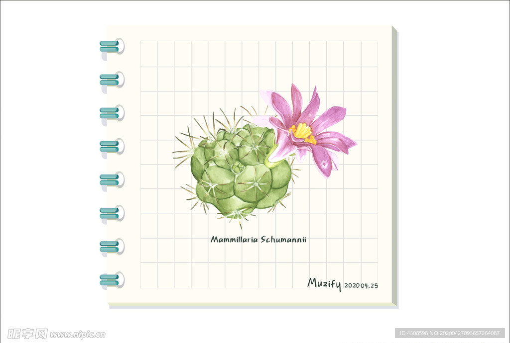 仙人球花 多肉植物图鉴