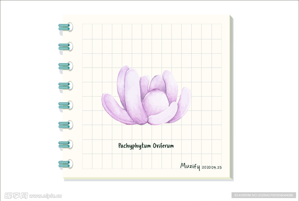 星美人 多肉植物图鉴