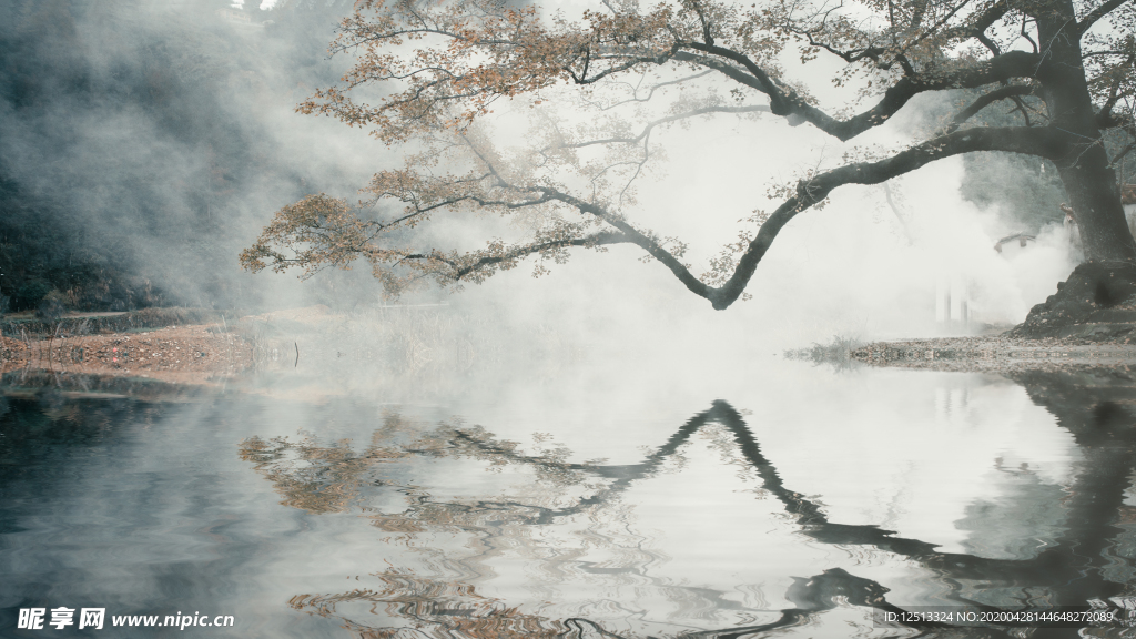树