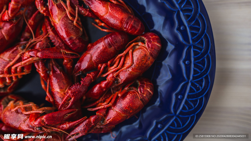 小龙虾大龙虾图片