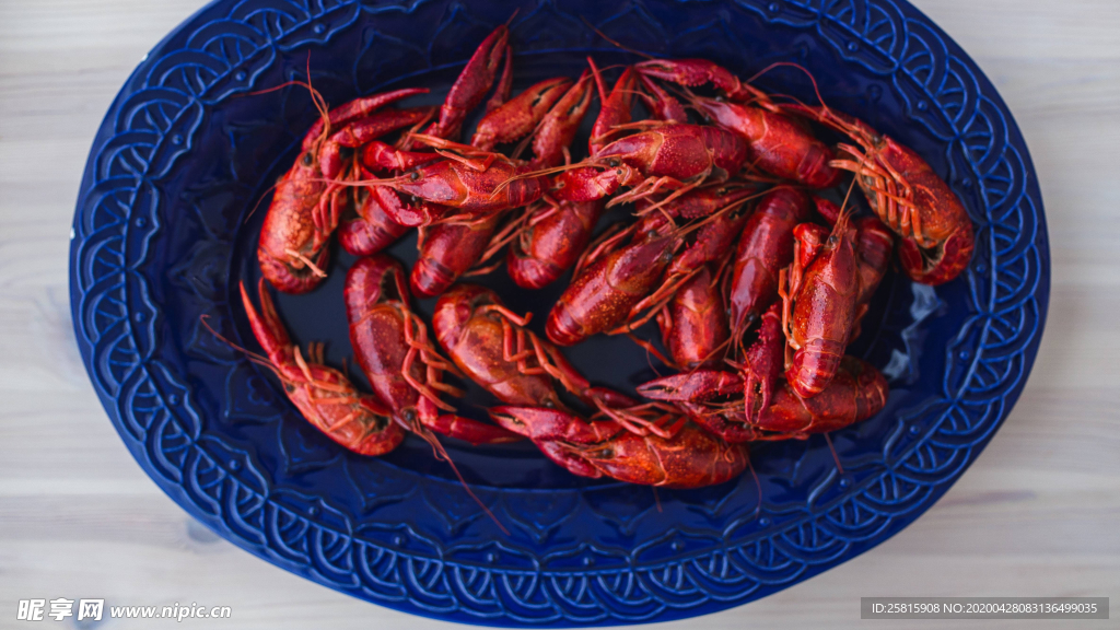 小龙虾大龙虾图片