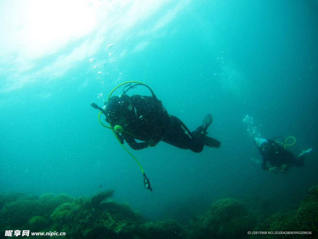 潜水游泳海底探索图片
