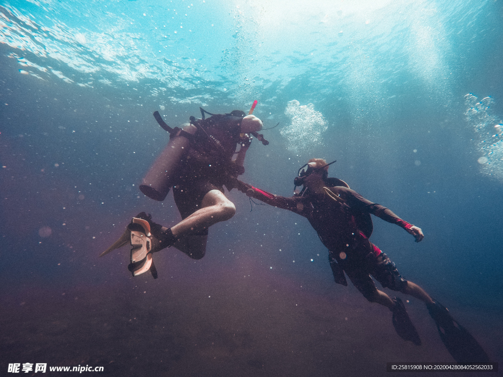 潜水游泳海底探索图片