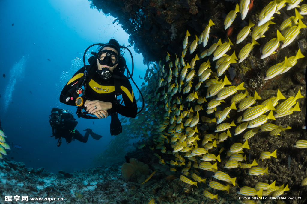 潜水游泳海底探索图片