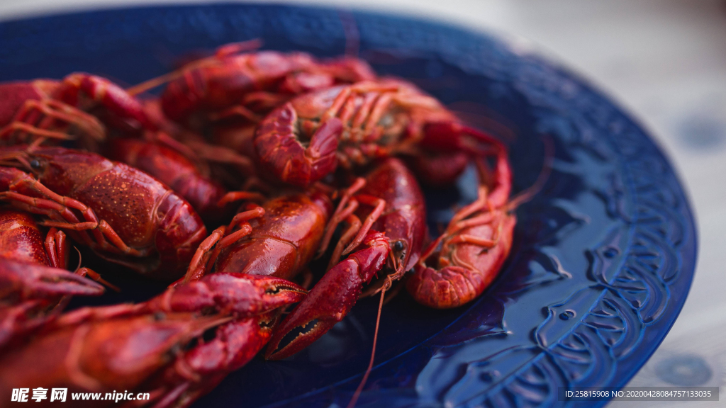 小龙虾大龙虾图片