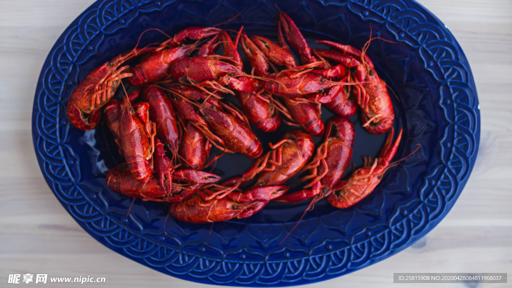 小龙虾大龙虾图片