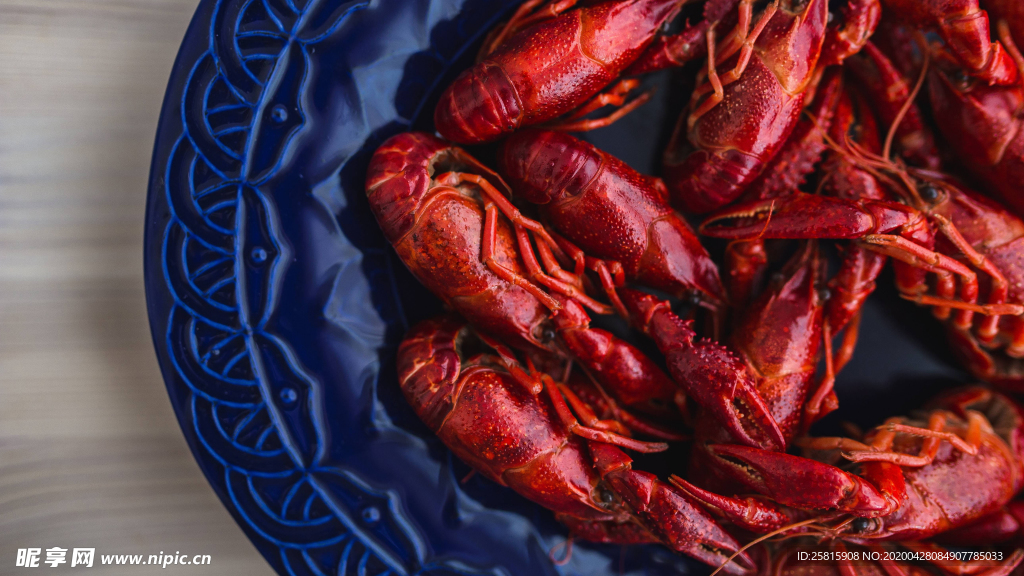 小龙虾大龙虾图片