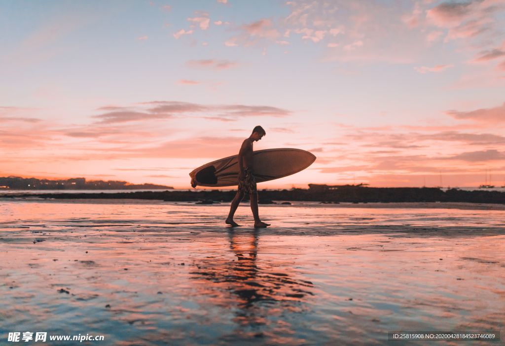 冲浪冲浪板图片