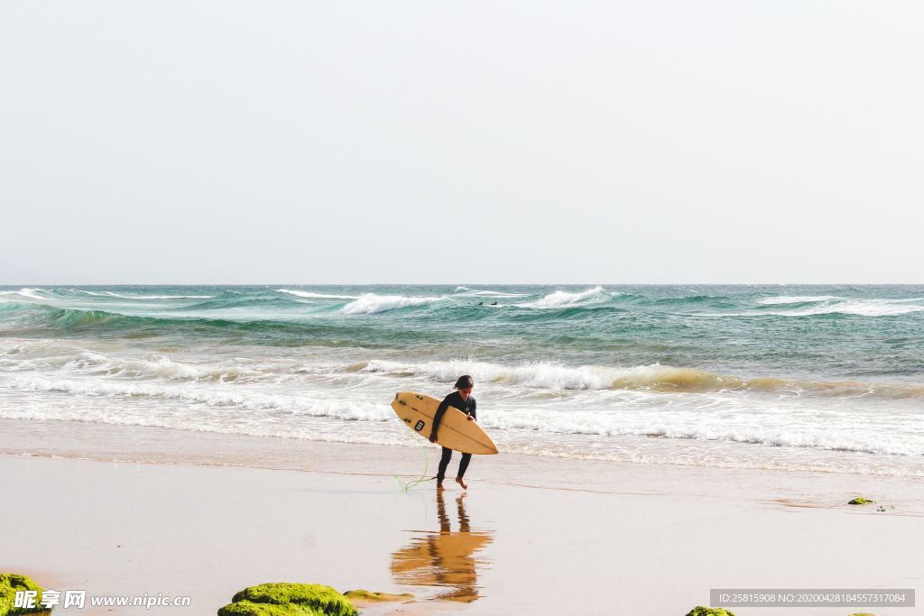 冲浪冲浪板图片
