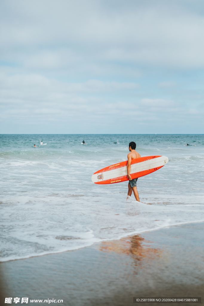 冲浪冲浪板图片